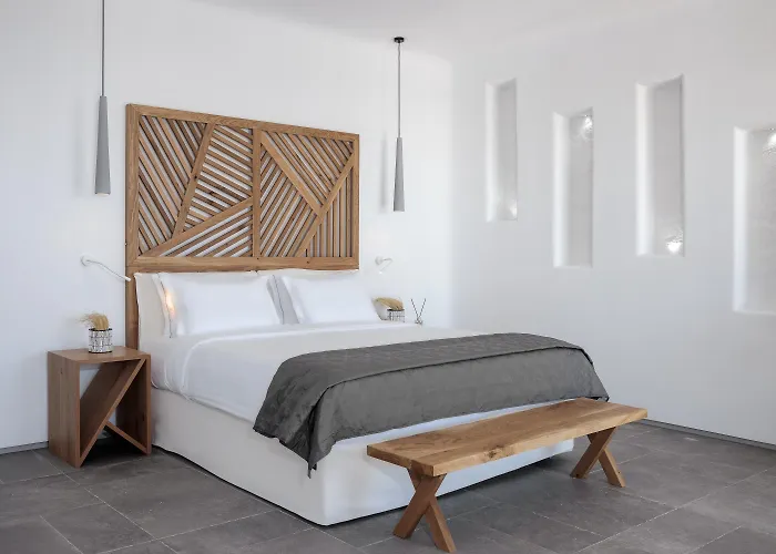 Alissachni Mykonos (adults Only) 5* 普沙罗