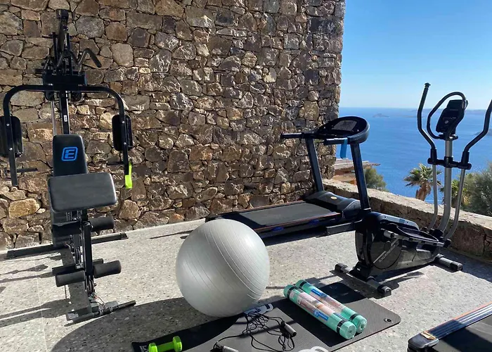 Alissachni Mykonos (adults Only) 酒店 普沙罗