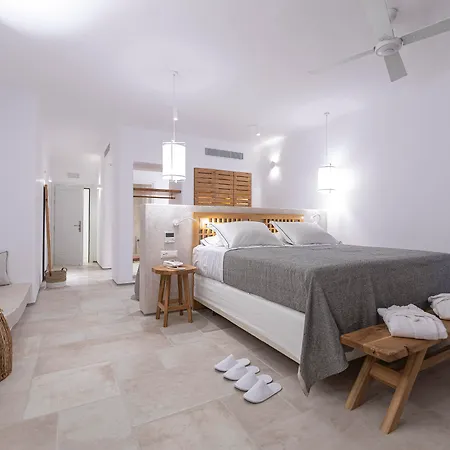 Alissachni Mykonos (adults Only) Psarrou