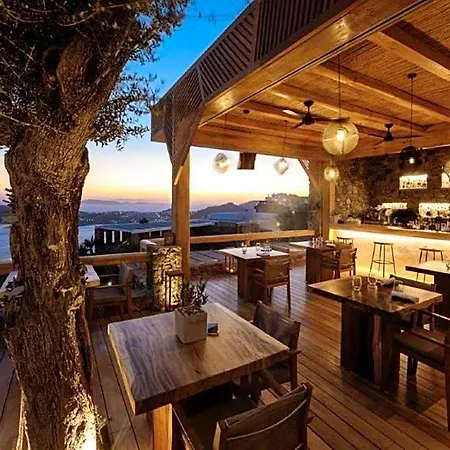 Alissachni Mykonos (adults Only) Psarou (Mykonos)