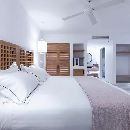 Alissachni Mykonos (adults Only) 5*