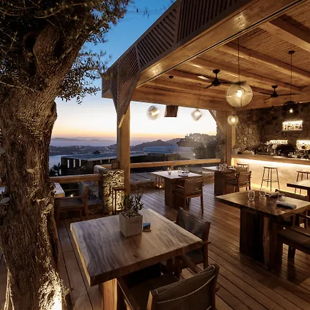 Alissachni Mykonos (adults Only) Hotel 5*